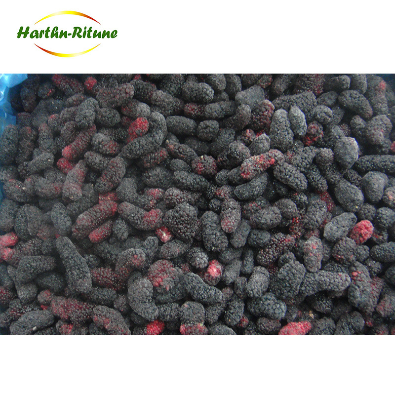 frozen mulberry juice powder frozen mulberry fruit