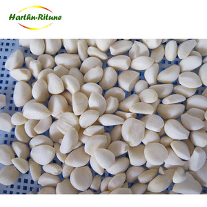 New Crop Chinese fresh frozen peeled garlic vacuum packed peeled garlic cloves