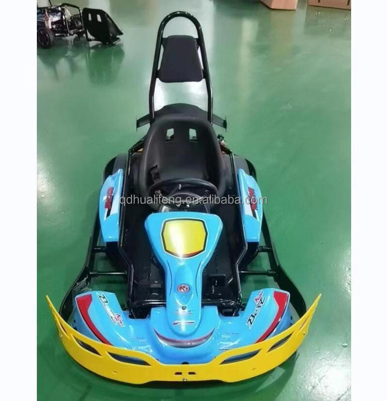 Electric Battery Power 800W Motor Lithium Battery Go Karting Car Double Seat Go Kart