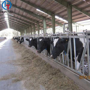 Low Cost Steel Structure Farm Cattle Barn Poultry Shed in Pakistan