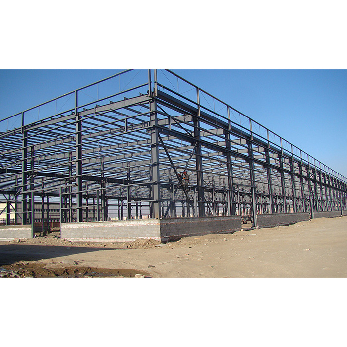 Large Span Light Gauge Steel Structure Building Factory Manufacturer