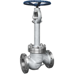 Quality Product Low Temperature Cryogenic Cast Steel Globe Valve for Sale