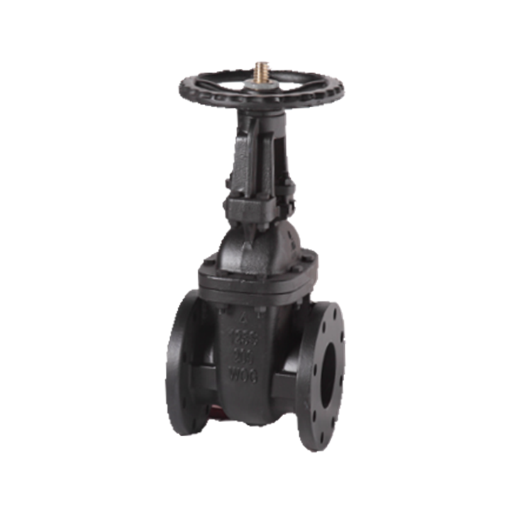 Cast iron gate valve with MSS SP-70 Class125 NRS drain dn50-500