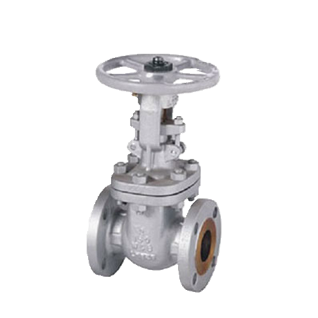 304/316 Stainless Steel CF8/CF8M/CF3M Gate Valve