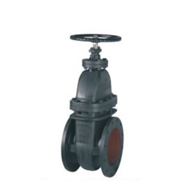 Cast iron gate valve with MSS SP-70 Class125 NRS drain dn50-500