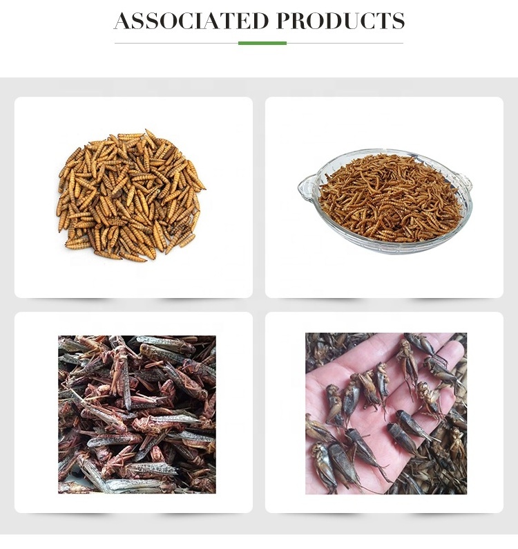 Wholesale Eco-friendly Freeze-dried Crickets for Birds Reptiles and Small Pets