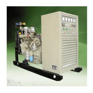 20KVA 30KVA 50KVA 80KVA 100KVA Natural gas LPG biomass syngas gas engine power Biogas generator price