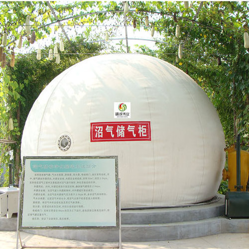 Biogas Plant Anaerobic Fermentation Tank Biogas Digester With Double Membrane Gas Holder Gas Storage Bag