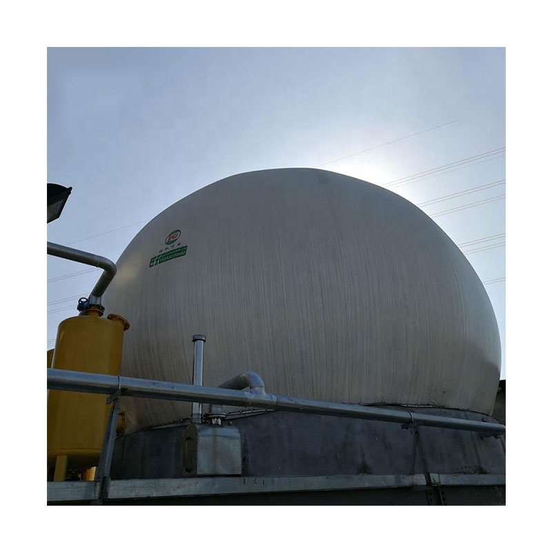 Double Membrane Biogas Storage Balloon for CHP Project