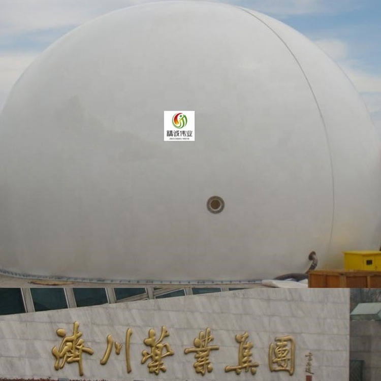 Biogas Plant Anaerobic Fermentation Tank Biogas Digester With Double Membrane Gas Holder Gas Storage Bag