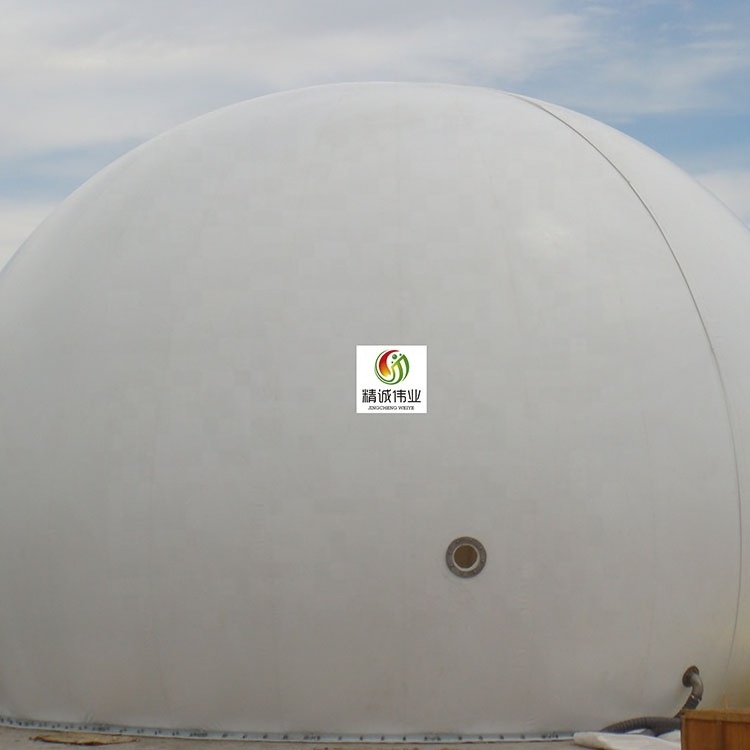 Biogas Plant Anaerobic Fermentation Tank Biogas Digester With Double Membrane Gas Holder Gas Storage Bag