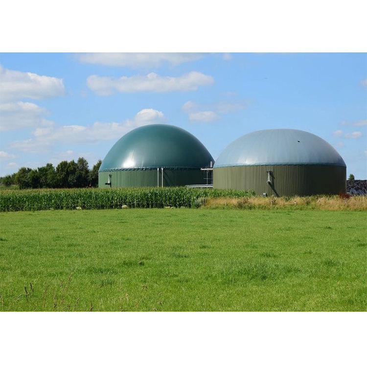 Qingdao Double membrane gas balloon/ biogas storage balloon