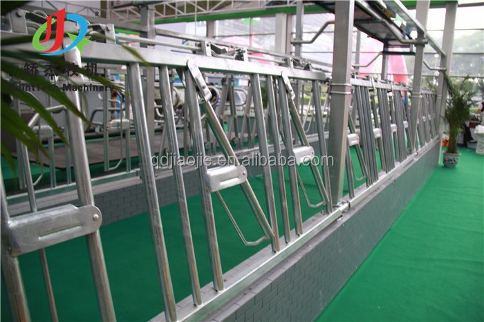 Cow farming equipment galvanized dairy headlocks for sale!