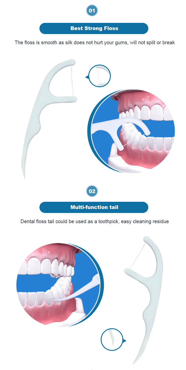 2022 Bulk Eco Friendly Oral Care Vegan Silk Refill Box Toothpick Flosser Dental Floss Pick Manufacturing