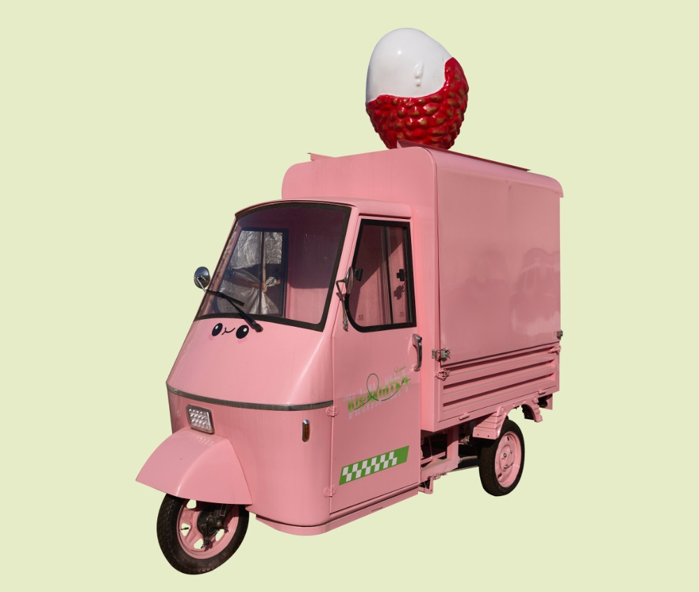 New Design 3 Wheels Electric Food Tricycle Customized Mobile kitchen Beer Bar Ice Cream Cart Food Truck