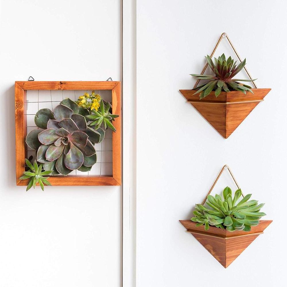 Artisanal Geometric Air Plant Holder wall plant holders home wood wall decor