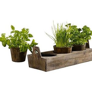 Wooden Garden Plant Pot Tray for Herbs And Flowers