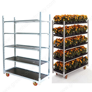 Danish trolley Floral shipping cart Horticulture trolley  Dutch cart Plant shipping rack Greenhouse transport cart Cc container