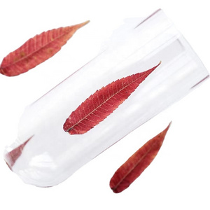 MNR2064 red color pressed dried torch leaves for DIY photo frame craft