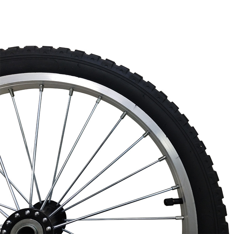 20 inch Bicycle Aluminum Spoke Rubber pneumatic wheels