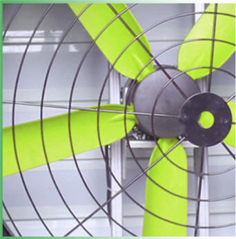 Easily Assembled Poultry Fan High efficiency Chicken House Exhaust Fan Multi-dimension 220-380V waterproof exhaust fan