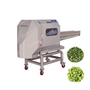 3000 Kgs/Hr Green onion parsley slicing machine cabbage cutting machine