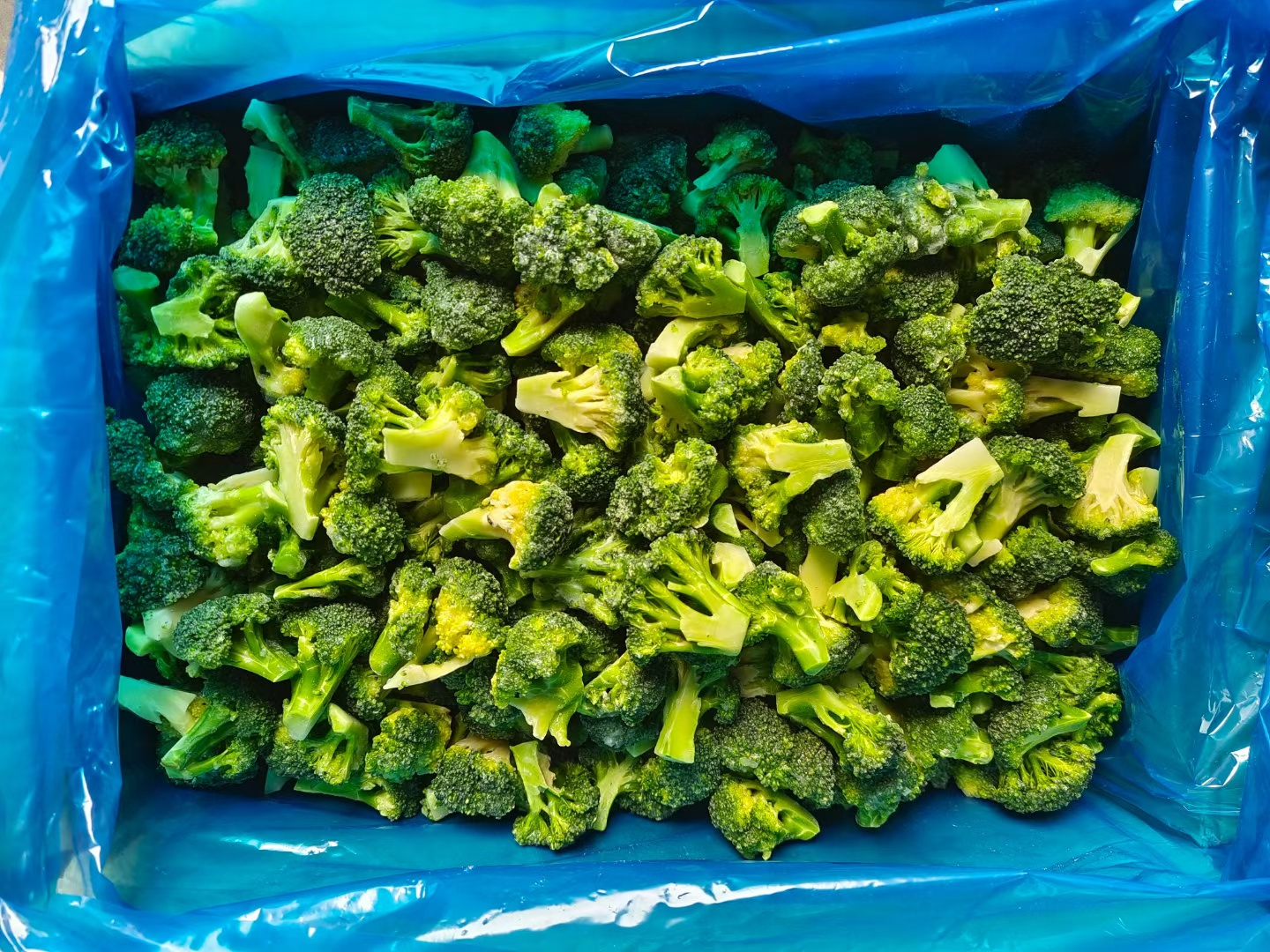 Wholesale High Quality Vegetables BRC A Approved IQF frozen broccoli florets In Cheap Price