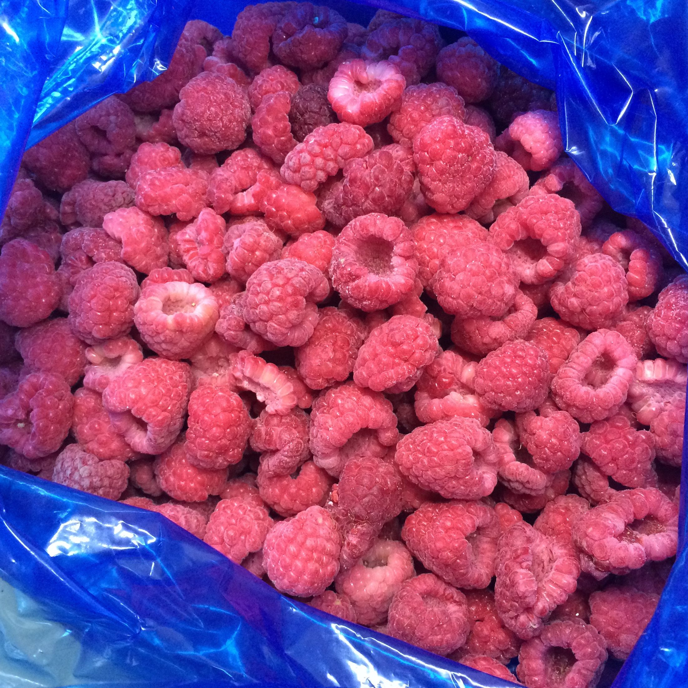 Premium Fresh Picked Flavor Frozen Raspberry Natural Frozen Raspberry IQF Fruit for Wholesalers and Importers