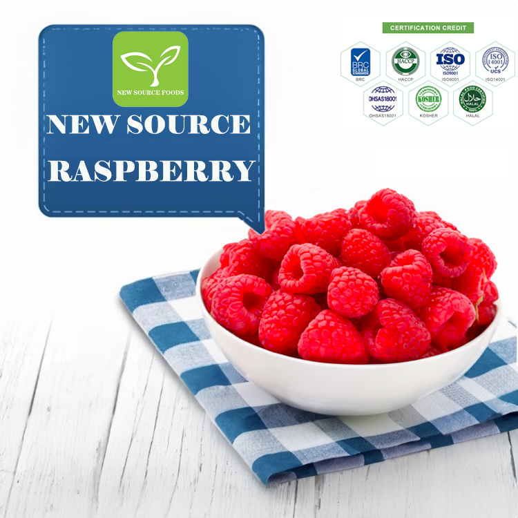 Premium Fresh Picked Flavor Frozen Raspberry Natural Frozen Raspberry IQF Fruit for Wholesalers and Importers