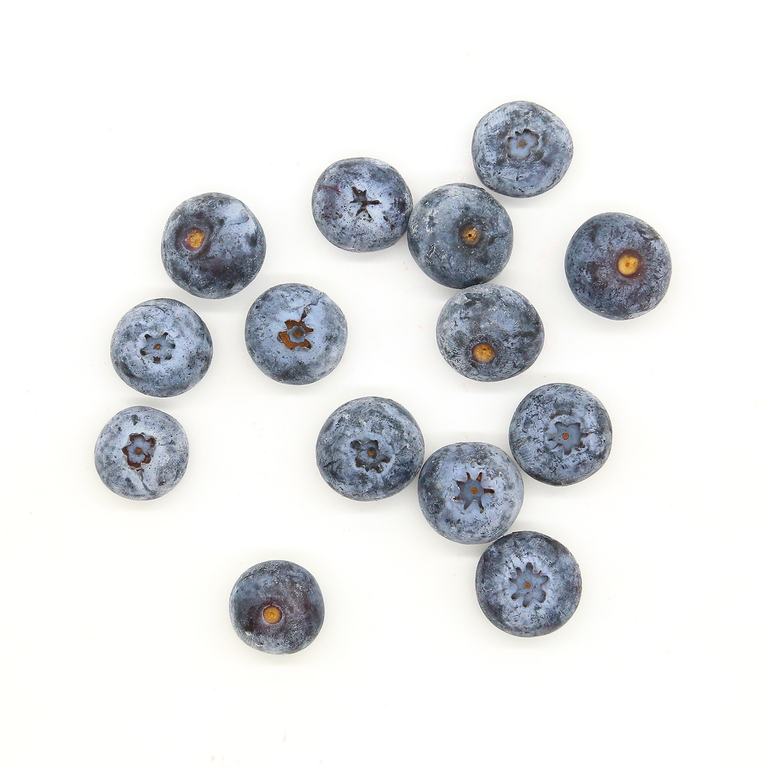 Bulk berries frozen blueberry fruit China cultivation