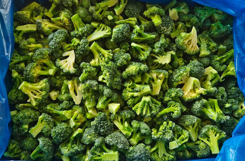 Organic and Green IQF Frozen Broccoli Florets of Various Sizes and Shapes for export