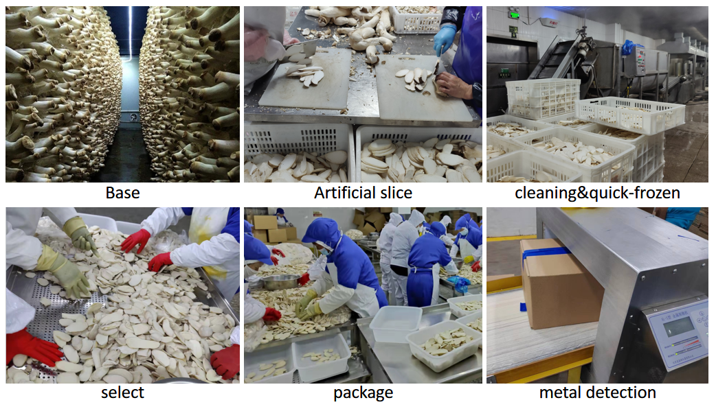 Sinocharm Factory-priced Fresh Mushrooms Cultivated Organic Food Frozen King Oyster Mushroom Without Added