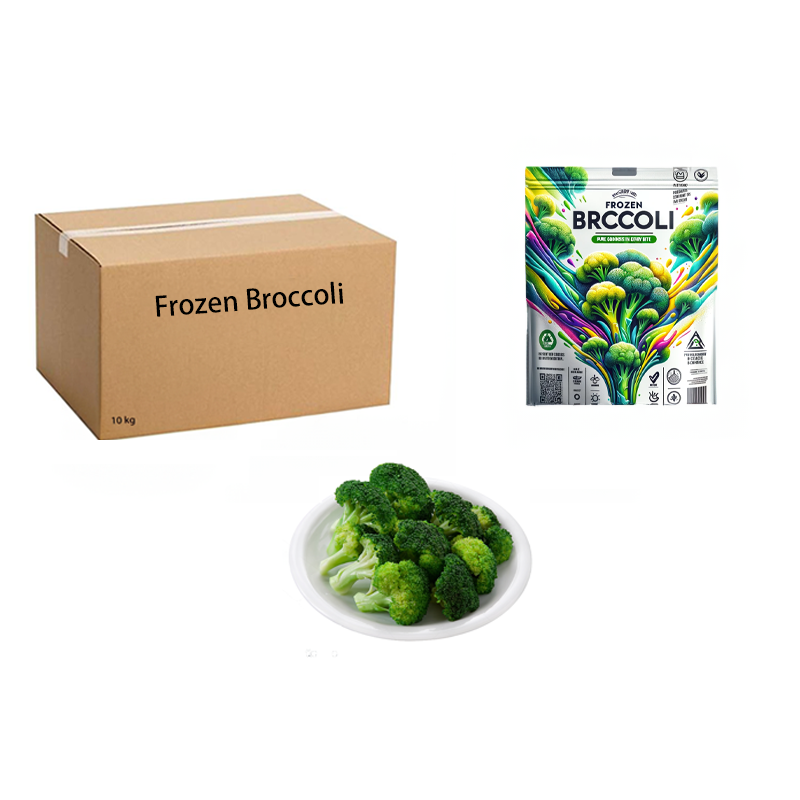 Export Quality IQF Broccoli Floret 10-20mm Frozen Chinese Broccoli Frozen Broccoli Stem Export Perfect for Wholesale Markets