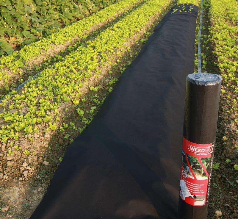 Landscape Nonwoven Fabric UV Resistant PP Non Woven Fabric Agriculture Cover