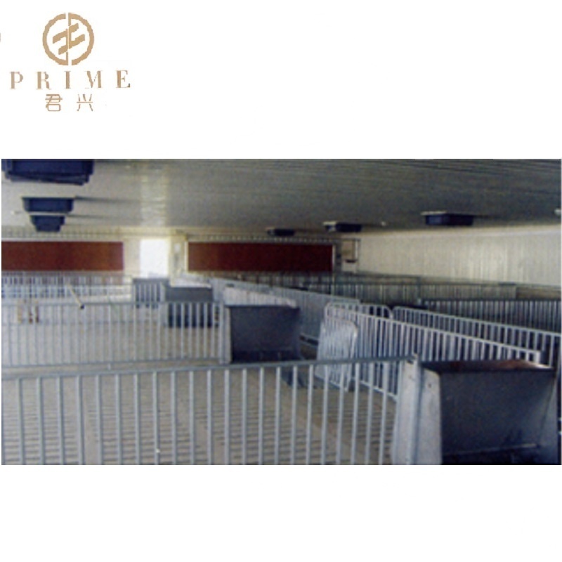 Hog husbandry equipment Pig finishing pen pigs fatten room with hot dip galvanized pipe penning crate