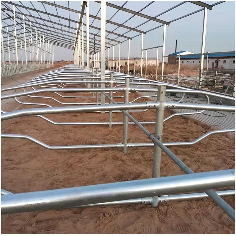 Livestock husbandry equipment  animal fence Cattle stall Bovine penning equipment cow cage corral panel