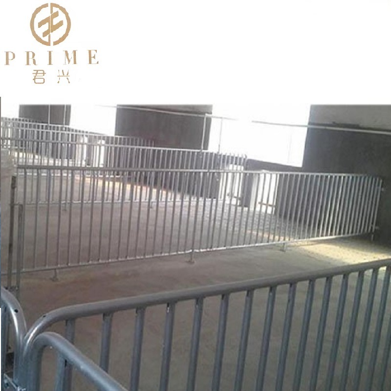 Hog husbandry equipment Pig finishing pen pigs fatten room with hot dip galvanized pipe penning crate