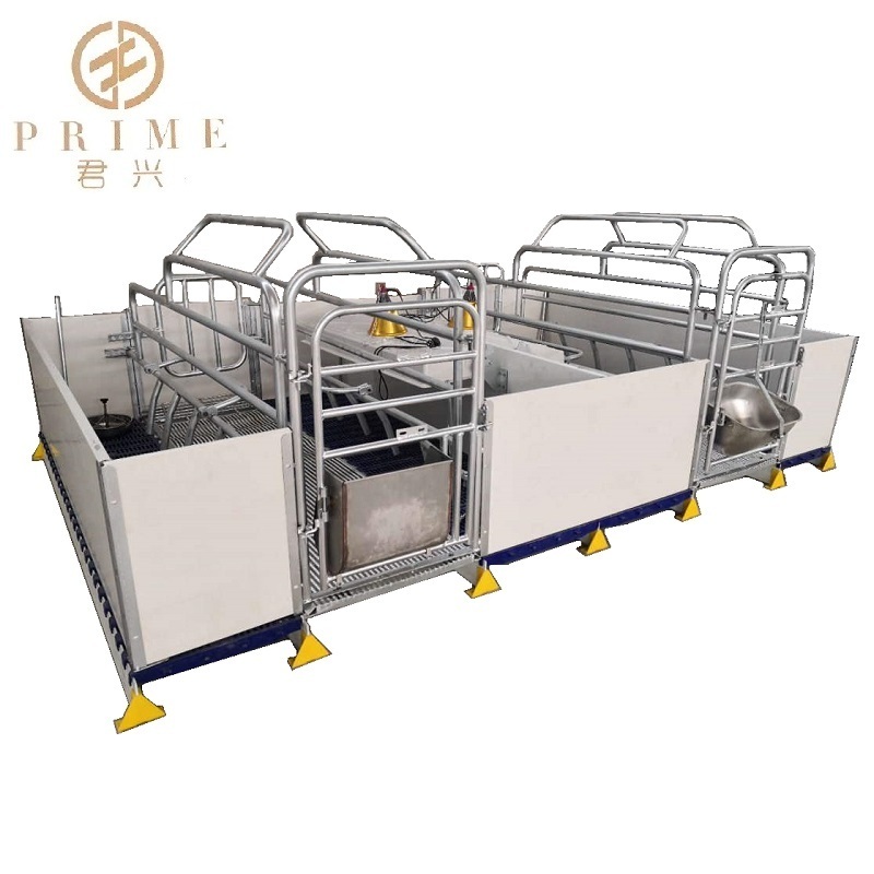 China Qingdao hog farrowing crate for sale  animal & poultry pig husbandry equipment manufacturer sow feeding stall supplier