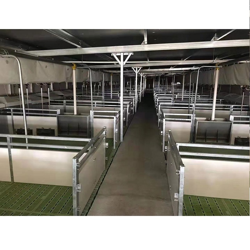 Nursery crate room for piglets with hot dip galvanized pipe PVC fence plastic slat floor on hog barn husbandry equipment