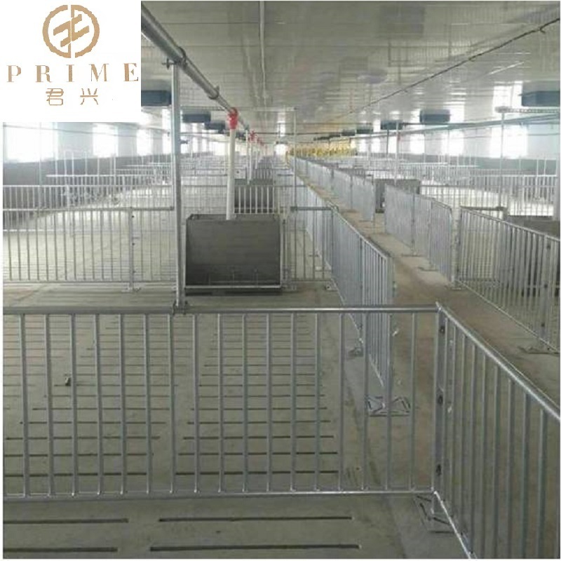 Hog husbandry equipment Pig finishing pen pigs fatten room with hot dip galvanized pipe penning crate