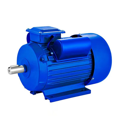 Single Phase High Speed 3000 rmp Asynchronous Electric AC Motor