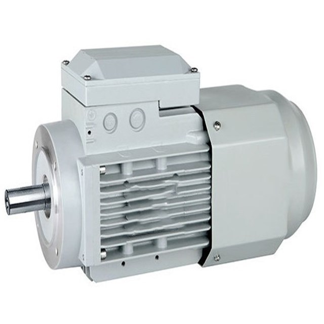 Single Phase High Speed 3000 rmp Asynchronous Electric AC Motor