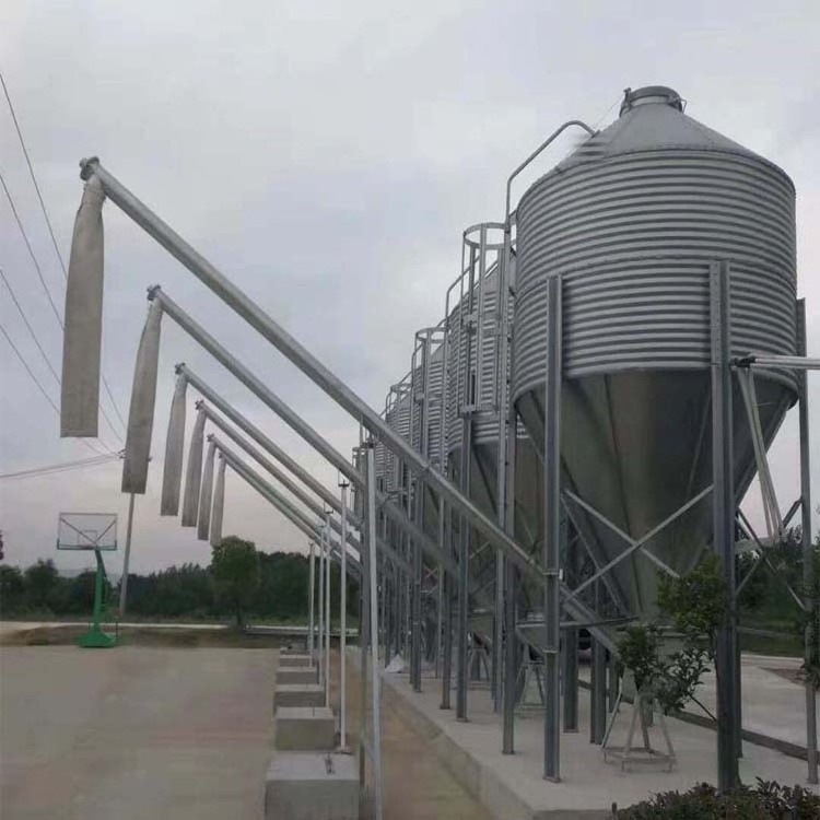 Grain steel silo used for sale feed silo pig farm Feeding system