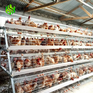 Modern Design Hot Dip Galvanized Egg Laying Hens Battery Layer Automatic Chicken Cages In Algeria For Poultry Farming