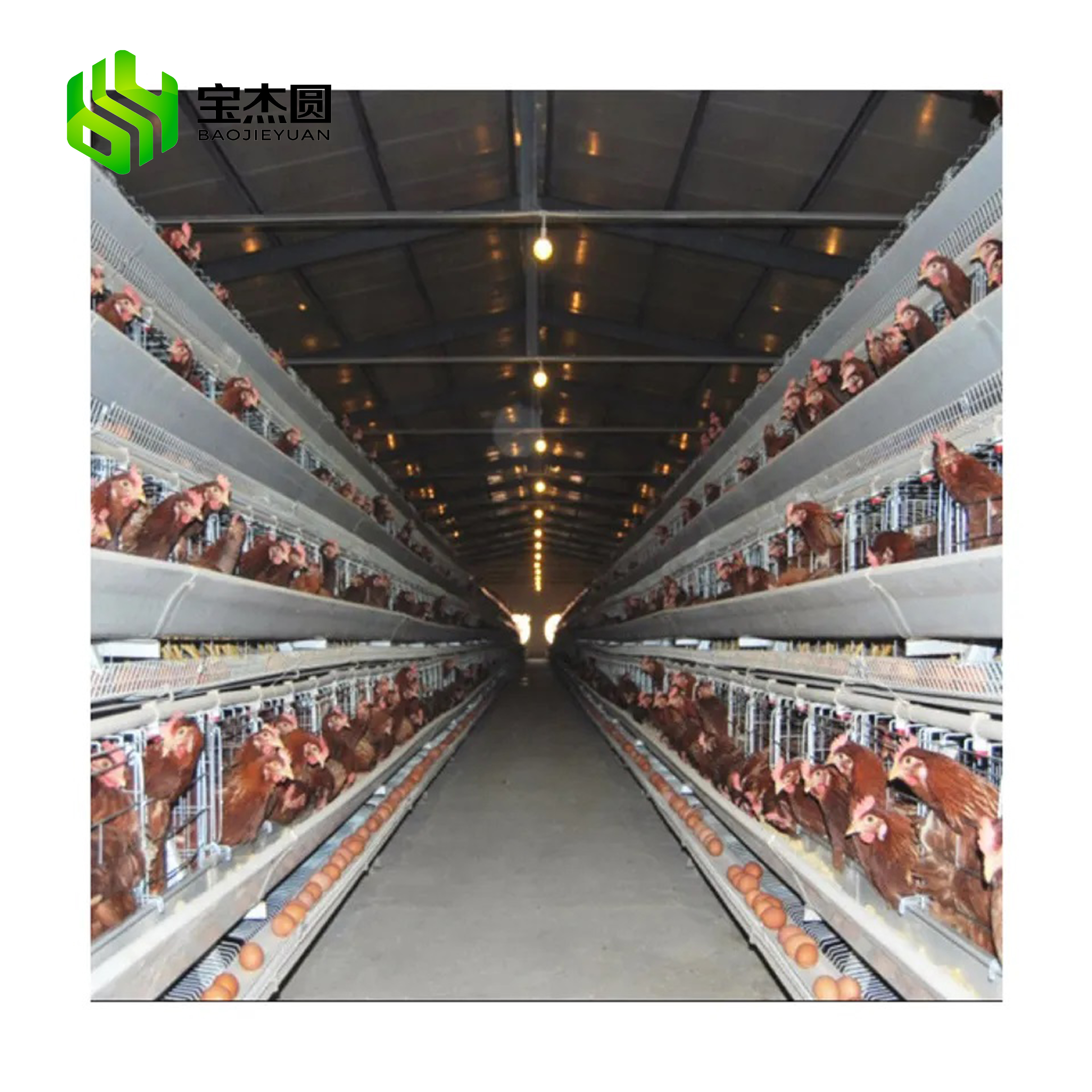 Modern Design Hot Dip Galvanized Egg Laying Hens Battery Layer Automatic Chicken Cages In Algeria For Poultry Farming