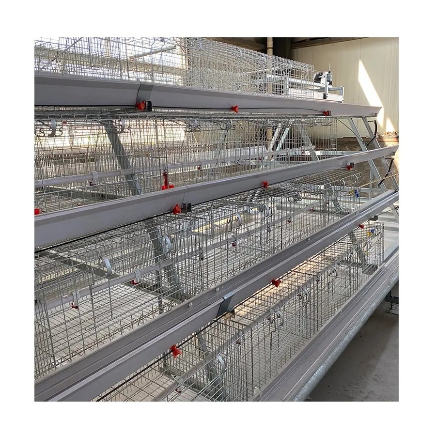 Chicken egg laying hens cage Commercial Poultry Farming Equipment Automated Chicken Layer Farming Cage