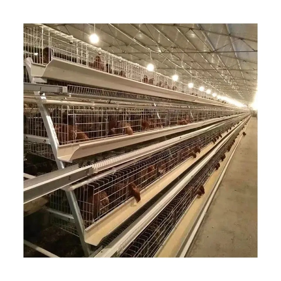 Hot Sale Poultry Farm Laying Hens Used Layer Battery Chicken Cage