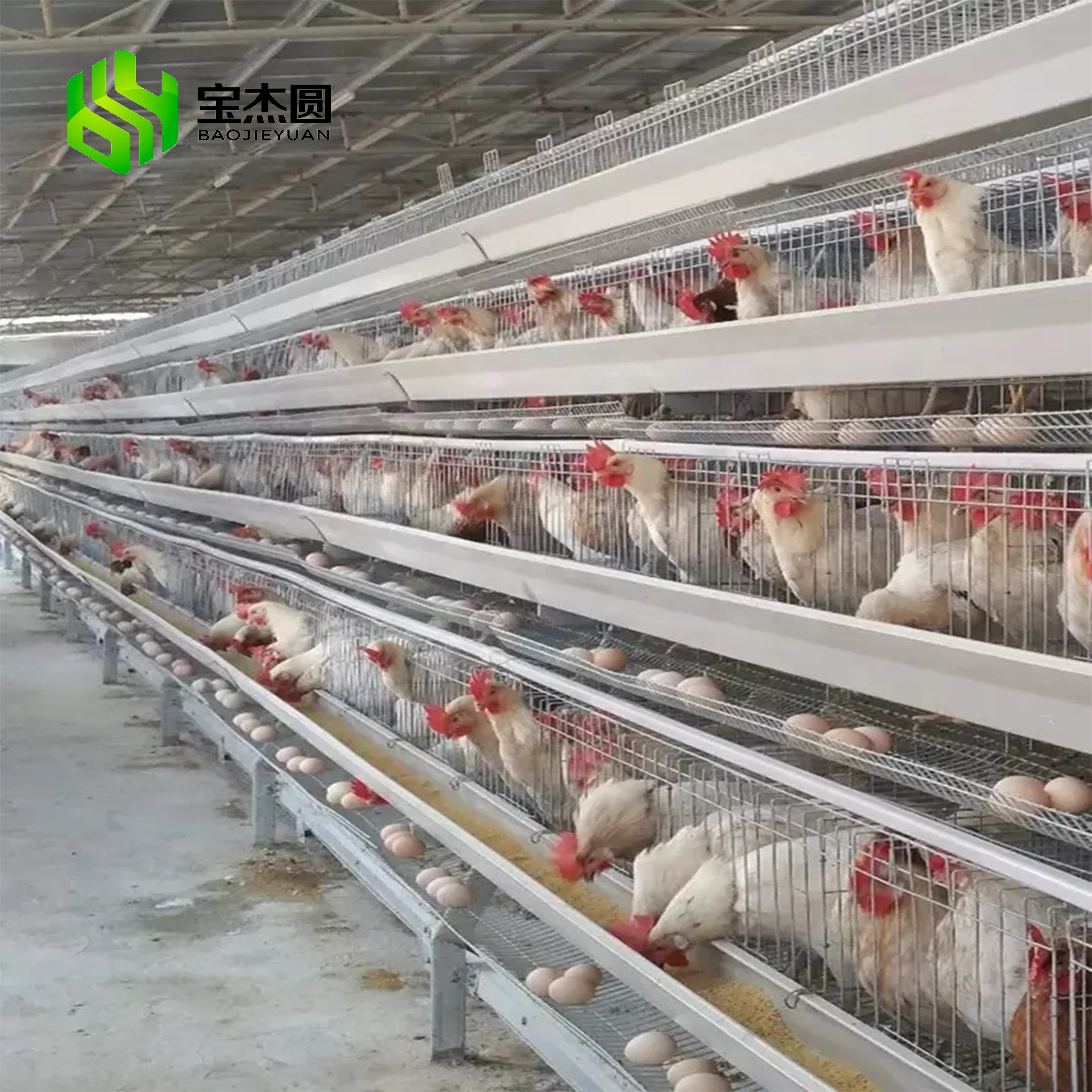 Modern Design Chicken Farm Automatic Battery 3 Tiers 4 Tiers Day Old Baby Brooder Chick Cage