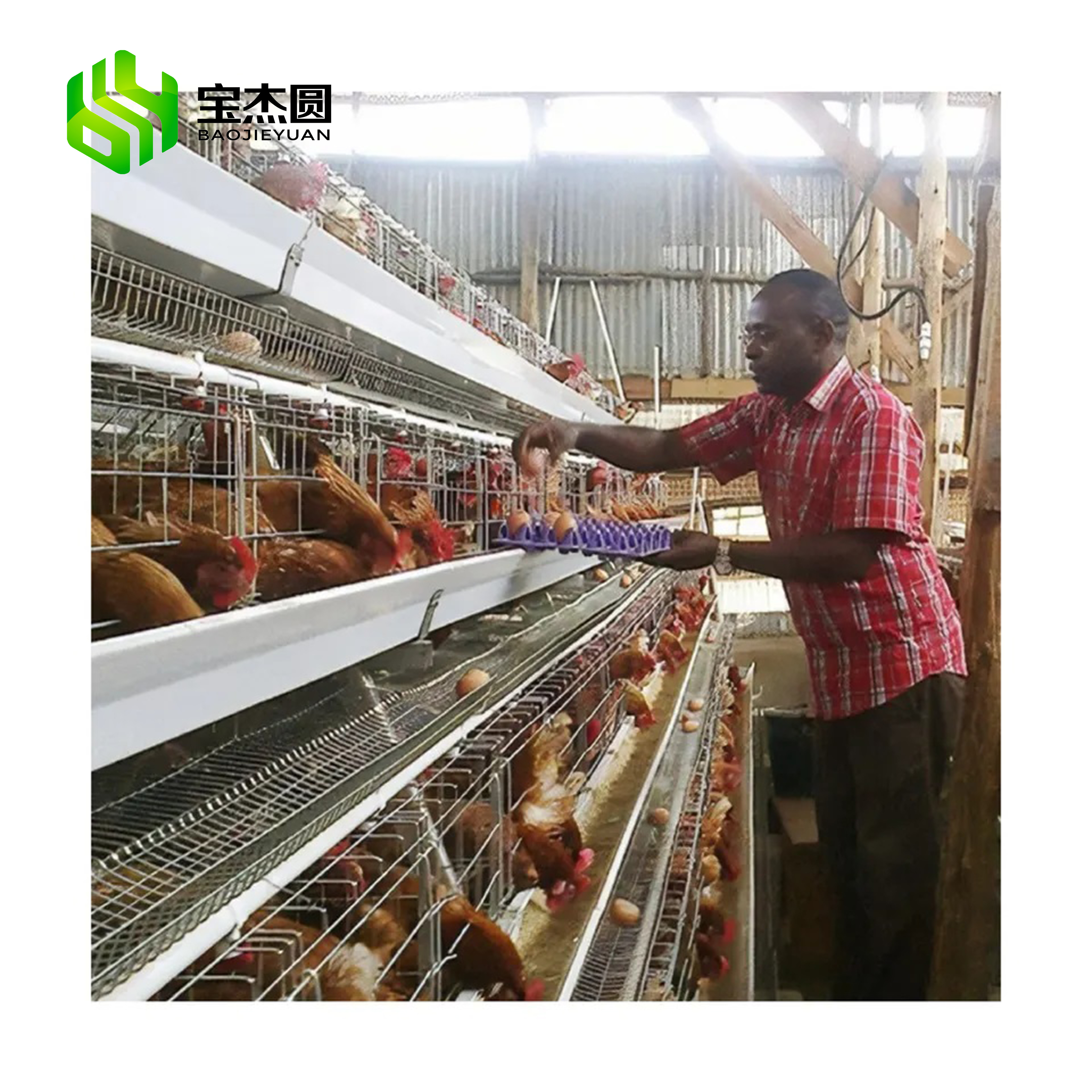 Modern Design Hot Dip Galvanized Egg Laying Hens Battery Layer Automatic Chicken Cages In Algeria For Poultry Farming