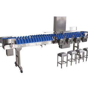 High Efficiency Automatic Industrial Food Processing Line  Fish Sorting Chicken Grading Machine by Weight